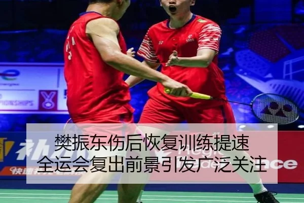 樊振东伤后恢复训练提速 全运会复出前景引发广泛关注