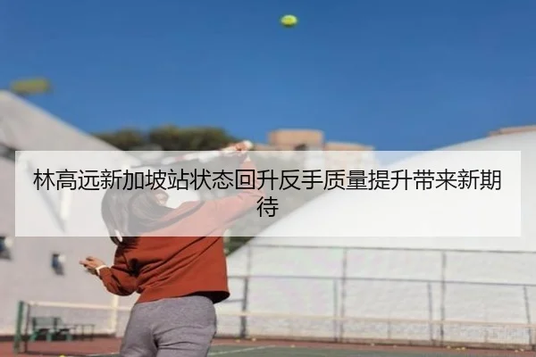 林高远新加坡站状态回升反手质量提升带来新期待